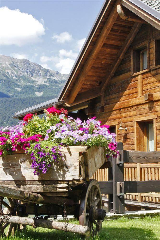 بورمْيو Chalet Teo E Marianna المظهر الخارجي الصورة